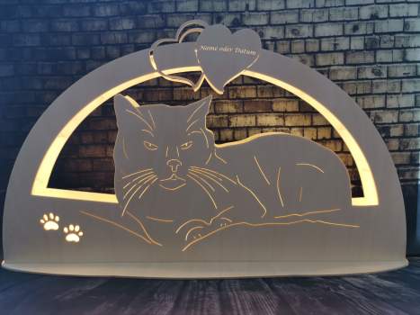 Lichtbogen "Katze-V3"