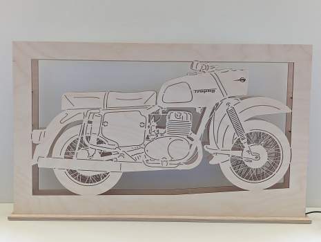 Lichtbogen MZ ES 250 Trophy