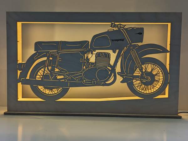 Lichtbogen MZ ES 250 Trophy