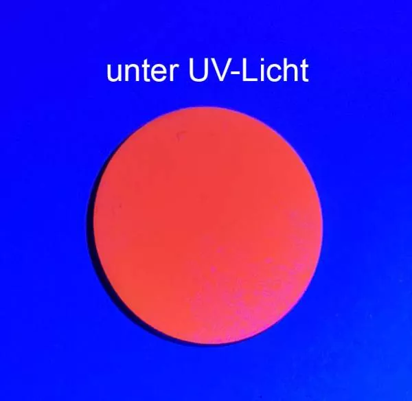Neta Ohrstecker UV Orange